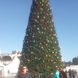 , 55, 
