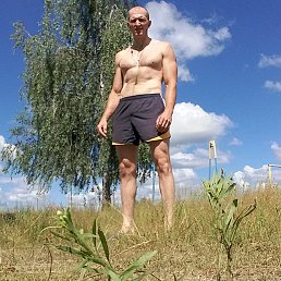 Сергей, 41 год, Кременчуг