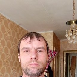 Александр, 39 лет, Тула