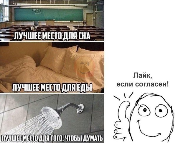 Pin by Лешик Леша on мемы in 2023