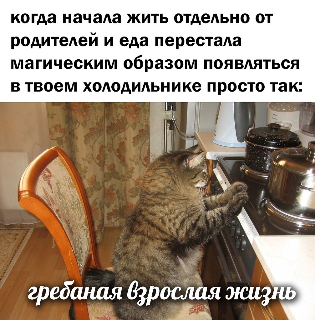 Никуда не денешься влюбишься и женишься