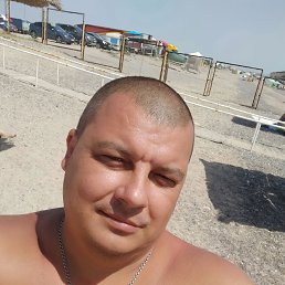 , 41 , 