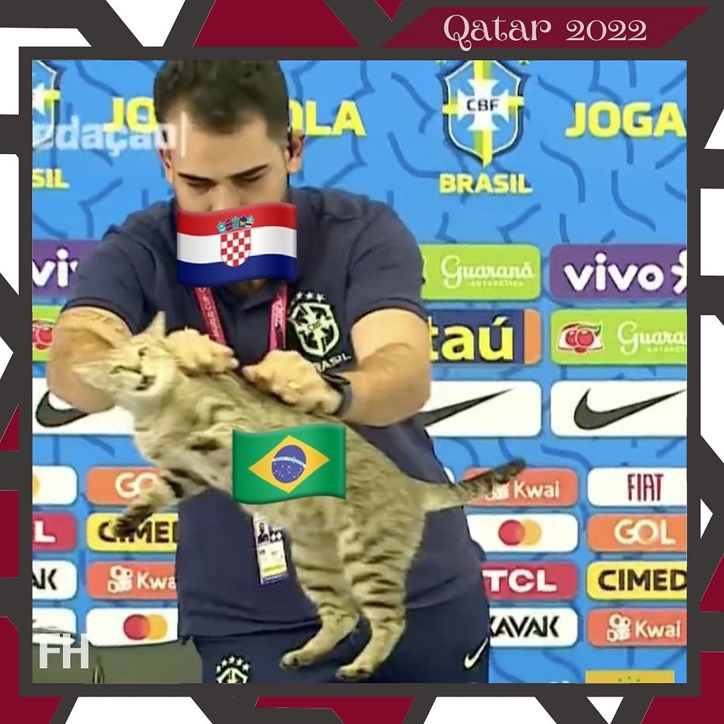 Бразильский кот