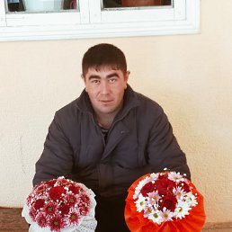 Алишер, 35 лет, Москва