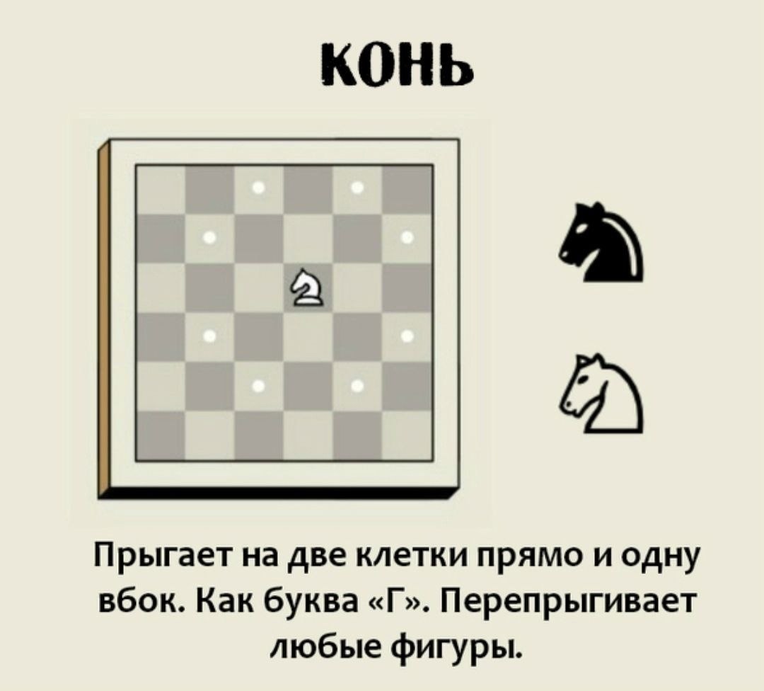 Какие фигуры в шахматах. Правила игры в шахматы для начинающих как ходят фигуры. Правила игры в шахматы для начинающих детей. Ходы фигур в шахматах для начинающих. Шахматы правила игры для новичков детей.