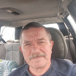 , 66 , 