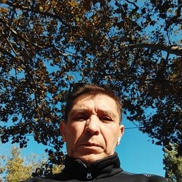 , 62 , 