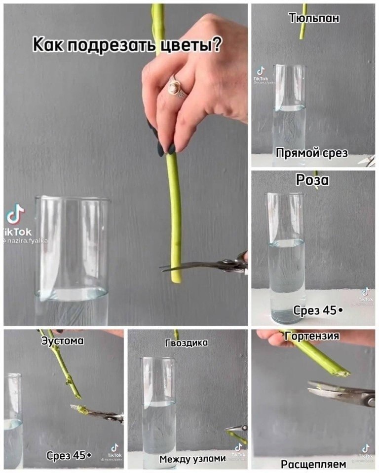 В какую воду ставить цветы. Как подрезать цветы чтобы дольше стояли. Средство для цветов чтобы долго стояли в вазе. Средство для того чтобы цветы дольше стояли. Уход за срезанными цветами аннотация.