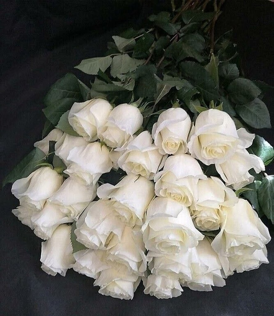 Вечная память белые розы