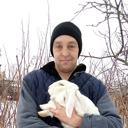 , 30 , 