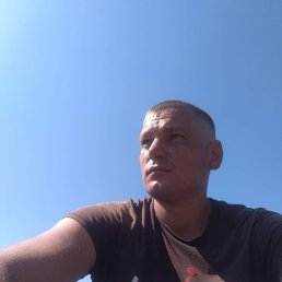 , 29 , 