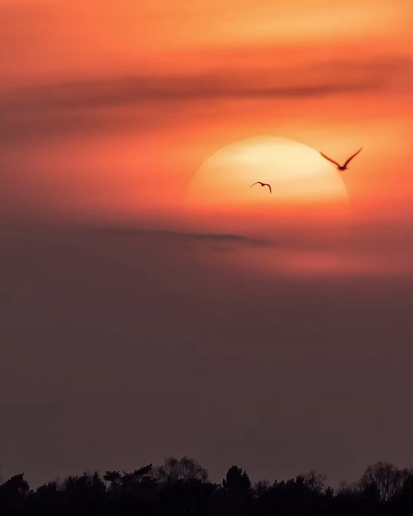 Закат в Стокгольме - W O R L D, №2541804338 | Фотострана – cайт ...