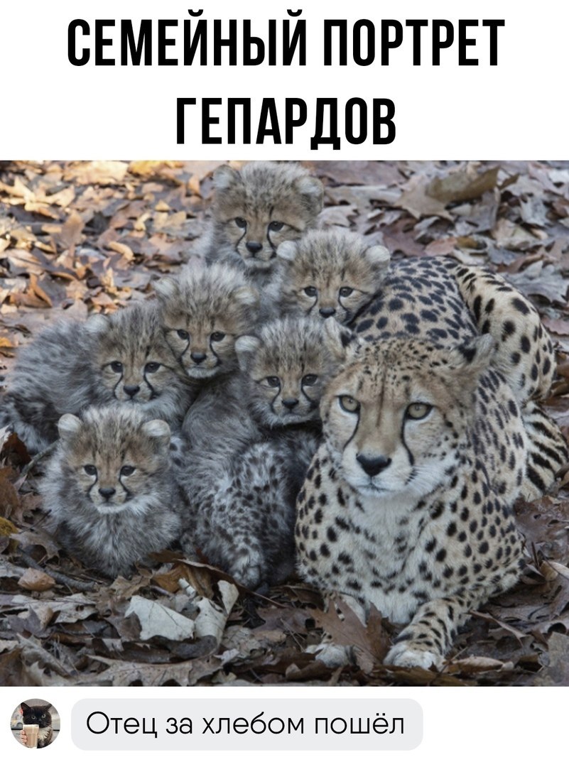 Что такое ноша фото