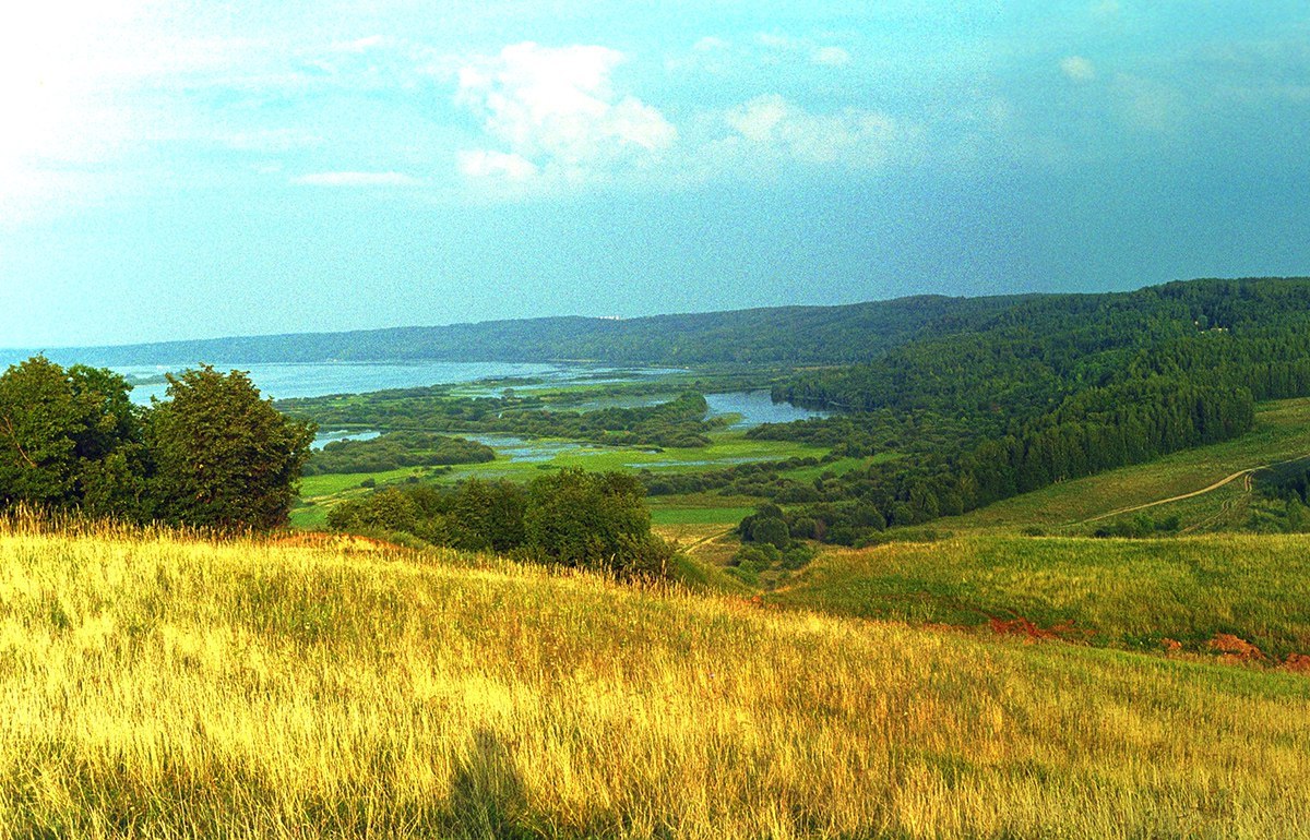 Отчизна. Родина. Природа родной земли. Ради. Природа нашей Родины.