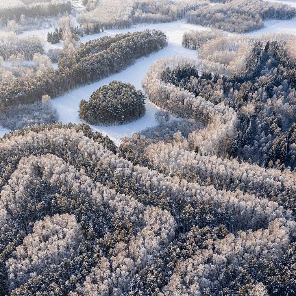 Краснообск парк синягина фото