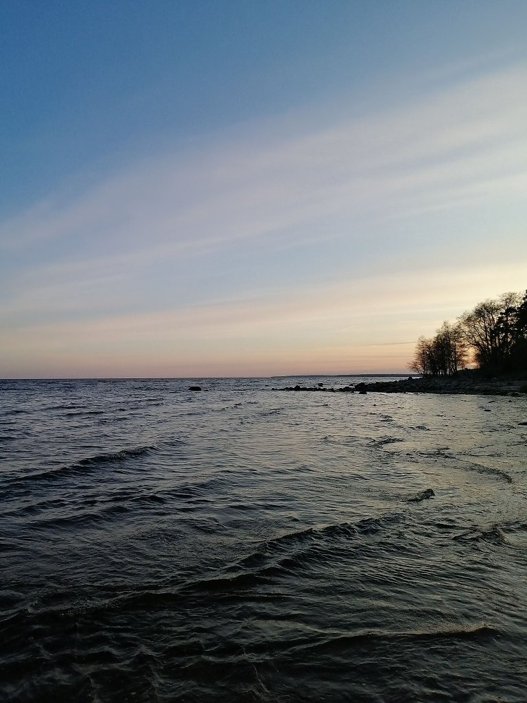 Температура финского залива в зеленогорске. Зеленогорск финский залив. Финский залив фото. Зеленогорск берег финского залива. Финский залив в Санкт-Петербурге фото сейчас.