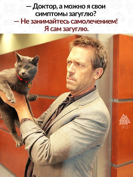 Вроде шутка. Кошки знаменитостей. Кошка актер. Знаменитости со своими котами.