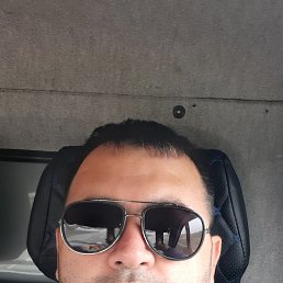 , 43, 