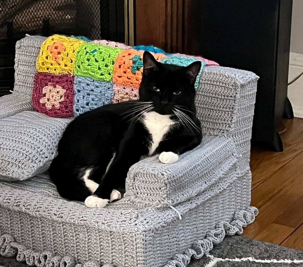 Кошачий диван