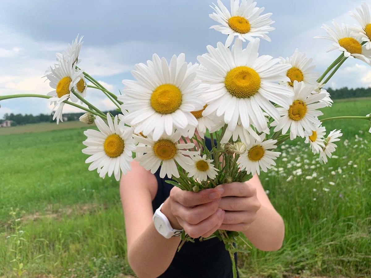 Я пишу желанье на бумажке - ПРИВЕТСТВИЯ и ПОЖЕЛАНИЯ, открытки на каждый ...