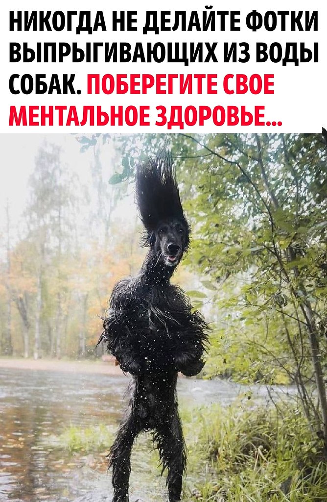 В ту же секунду как