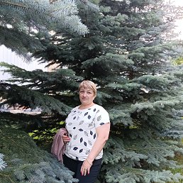 , 55, 