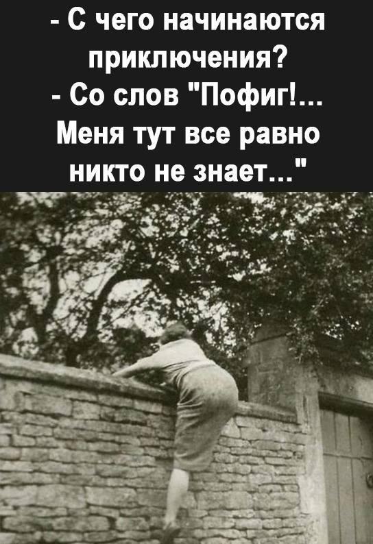 Как можно заменить слово пофиг