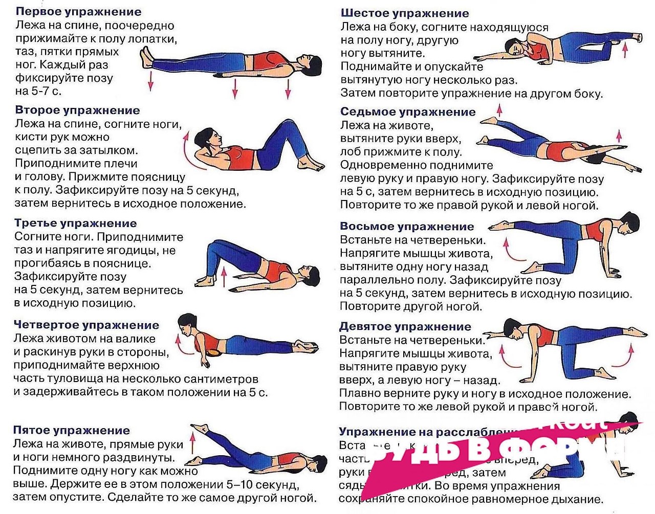 Упражнения для укрепления мышц спины и поясницы в домашних