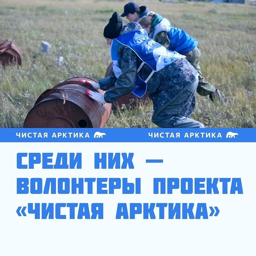 Волонтерские проекты в грузии