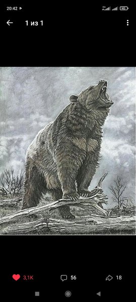 Медведь в славянской мифологии. Тотем медведь. Волки и медведи. Тотем медведя в славянской мифологии.