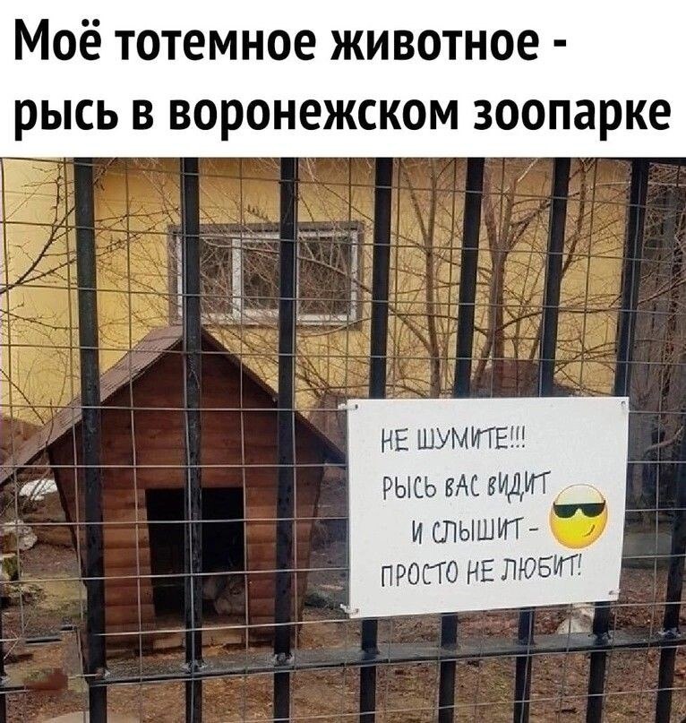 Зона пингвинов не стучите. Имеющий уши услышит имеющий глаза увидит. Рысь воронежского зоопарка. Она не видит она только слышит. Ты выйдешь за меня на работу.