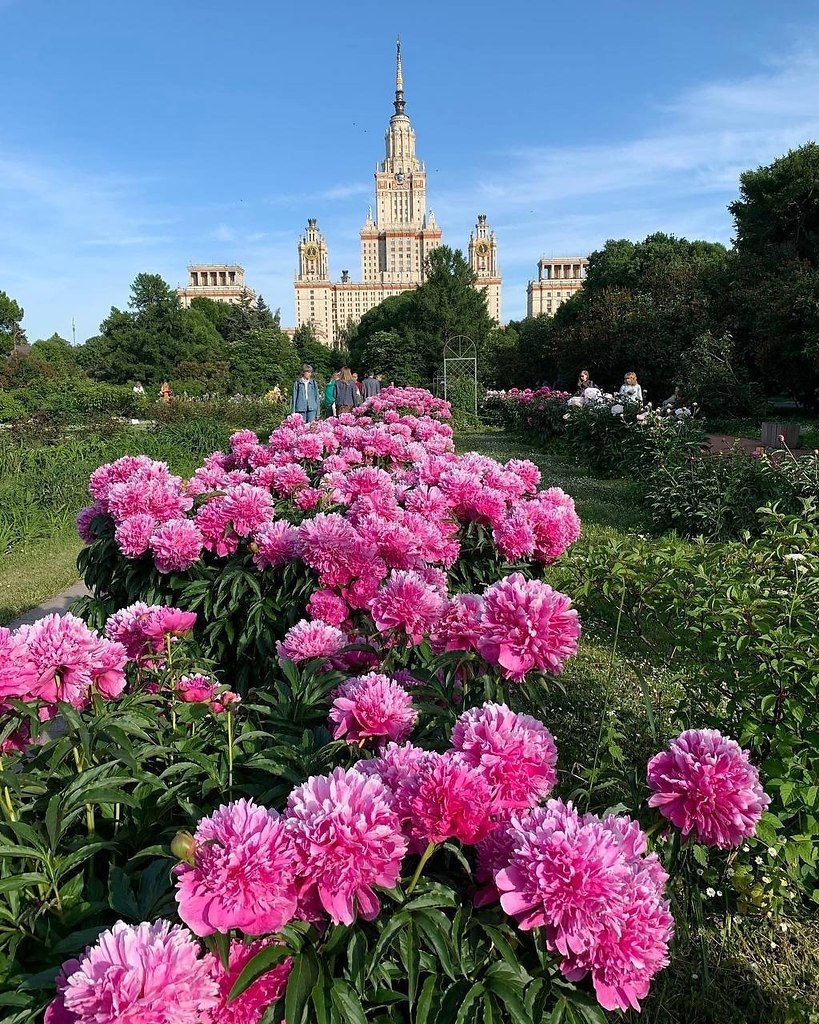 Презентация ботанический сад москва