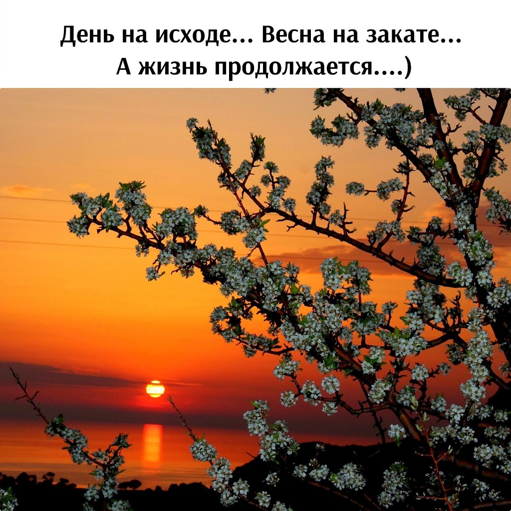 Зачеркни прошлое, №2591458770 | Фотострана – cайт знакомств ...