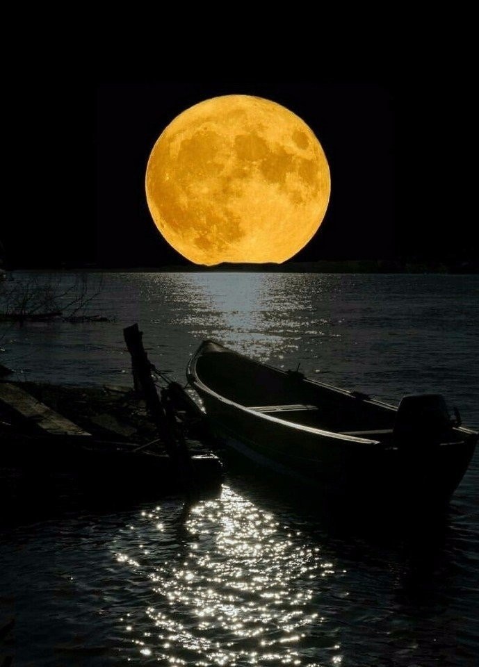 Не торопись с выводами, да и вообще не торопись. - .Счастье ...