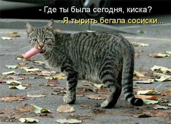 Картинки с надписью ты гад