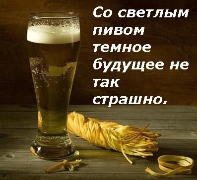 материалом пивные афоризмы картинки село императорская резиденция