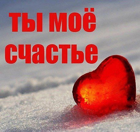 Гифы любимому мужчине ты мое счастье, птицы летают