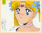 ���� Ms.���������, ������ - ��������� 5 ������ 2010 � ������ �����������