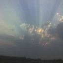 ���� ����, ���������, 44 ���� - ��������� 18 ������� 2009 � ������ �������