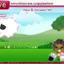 ���� ����, �����������, 74 ���� - ��������� 14 ��� 2011 � ������ �PetLove�