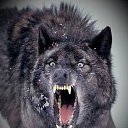 ���� �����, �����-�������� - ��������� 4 �������� 2012 � ������ �� ���� � ���� ������� ���.�