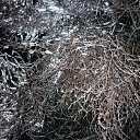 ���� ������, ��������, 63 ���� - ��������� 11 ������ 2012 � ������ �������