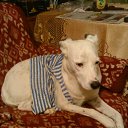 ���� ������, ����-�������, 41 ��� - ��������� 4 ������� 2010 � ������ ���� ��������