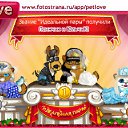  , , 25  -  11  2010   PetLove