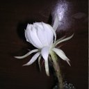 ���� ������, �������, 64 ���� - ��������� 30 �������� 2011 � ������ �����Ȼ