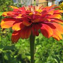 ���� ���������, ���������� - ��������� 5 ������� 2010 � ������ ���������� �����Ȼ