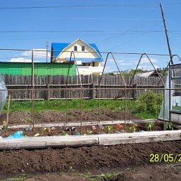 ����, �����, 24 ����