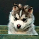 ���� �����, ���� - ��������� 25 ������� 2013 � ������ ���� ������ ������� �����, ��� ������ �������� ������)))�