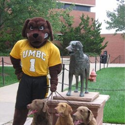 ���� ����, ������ �����, 32 ���� - ��������� 6 ������� 2010