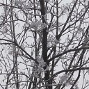 ���� �������, ���������, 55 ��� - ��������� 15 ������� 2013 � ������ ���� ����������